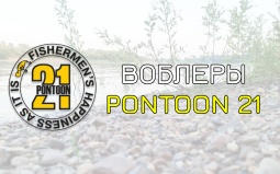 Поступление Pontoon 21